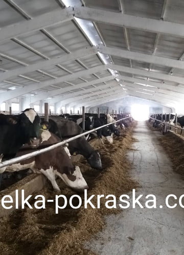 ПОБІЛКА ЗЕРНОСХОВИЩ та ТВАРИННИЦЬКИХ ФЕРМ